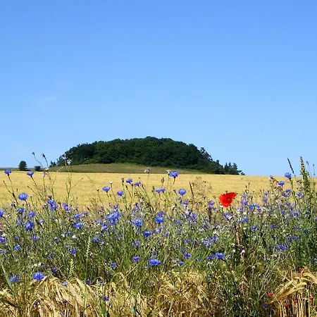 Apartamento Hafenhaeuser Wiek Ferienwohnung 04 *