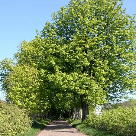 Apartamento Hafenhaeuser Wiek Ferienwohnung 04 *